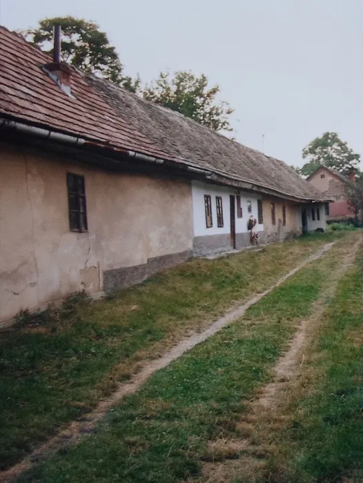 Master file0000074004