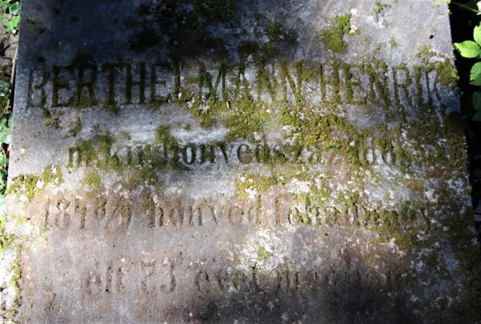 Master file0000069407