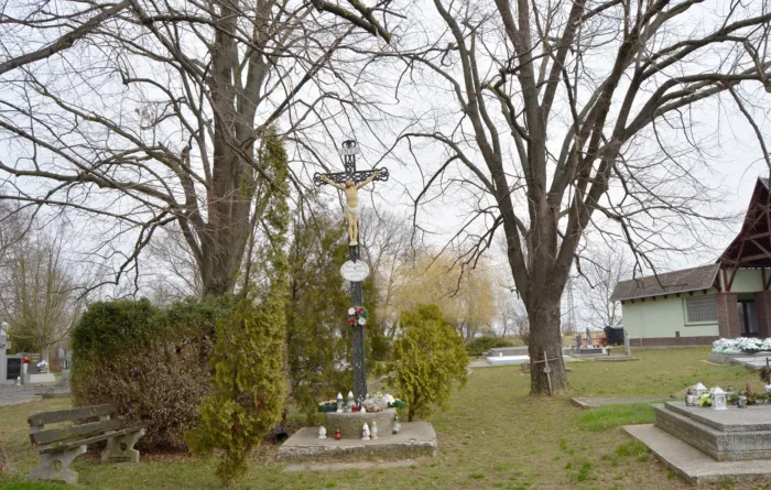 Master file0000063373