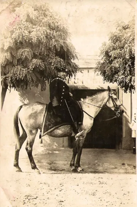 Master file0000039599