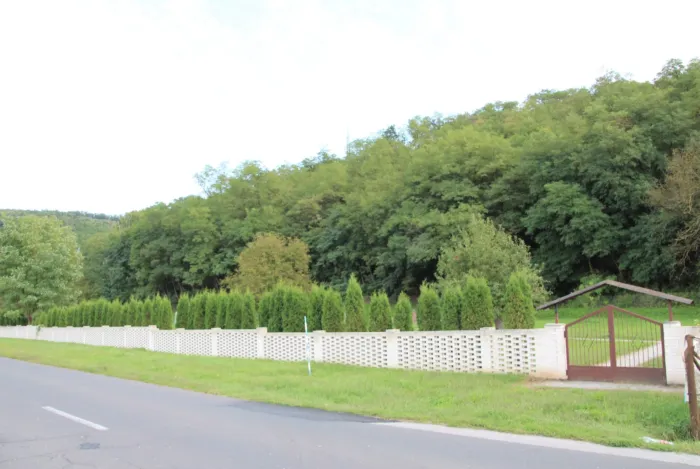 Master file0000060723