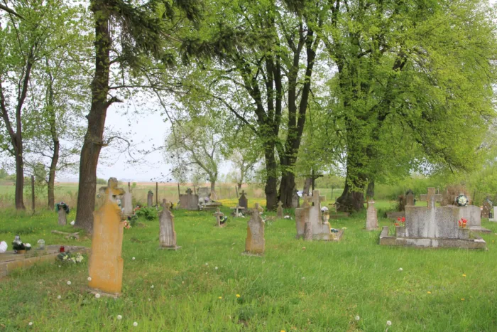 Master file0000066030