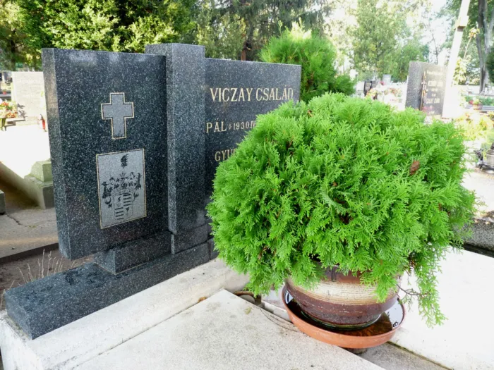 Master file0000080248