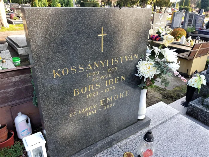 Master file0000074687