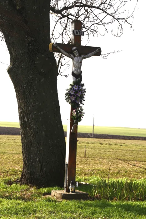 Master file0000079707