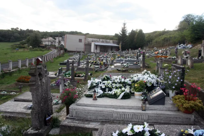 Master file0000061164