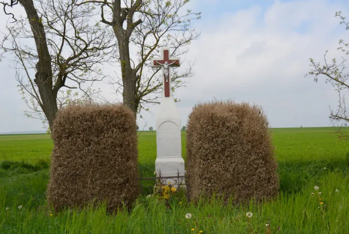 Master file0000065931