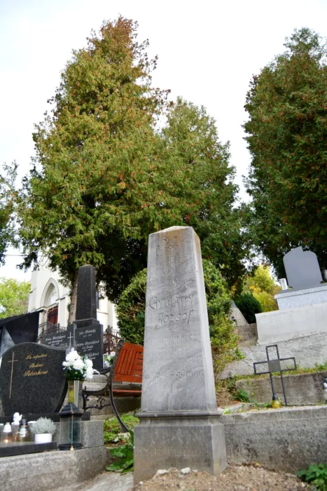 Master file0000074597