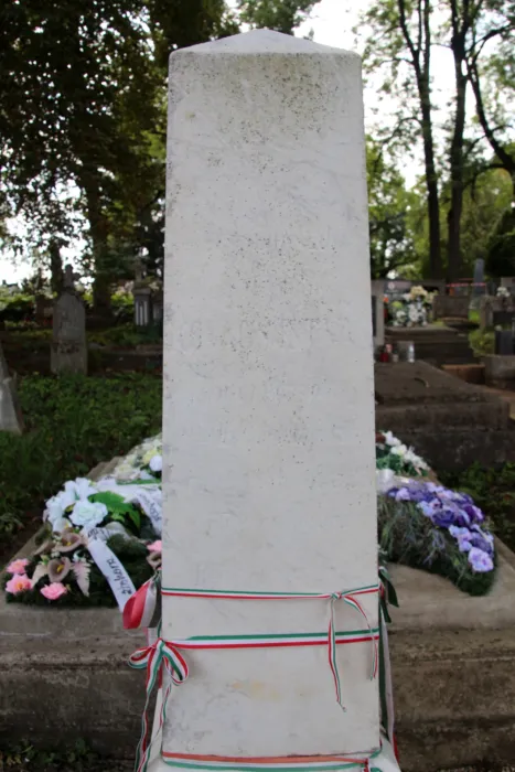 Master file0000080539