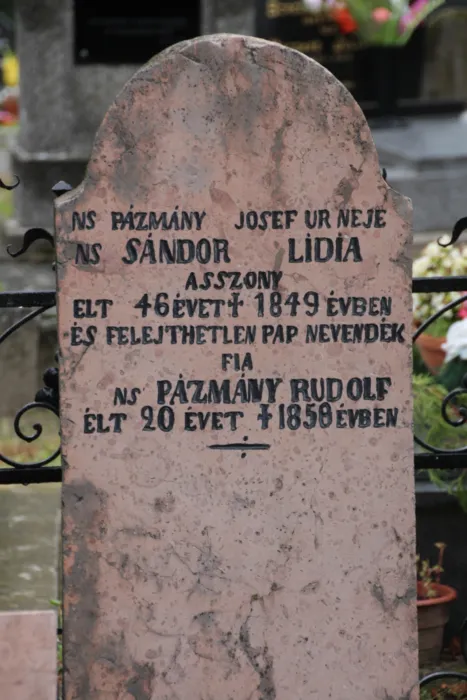 Master file0000077795