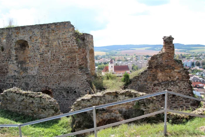 Master file0000074810