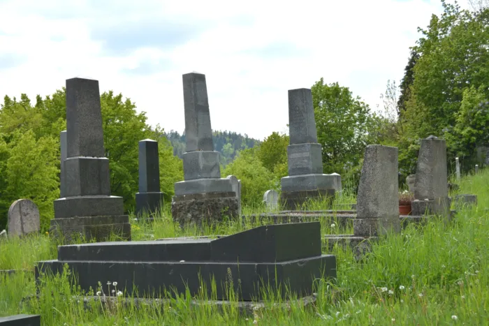 Master file0000063928