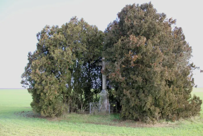 Master file0000075135