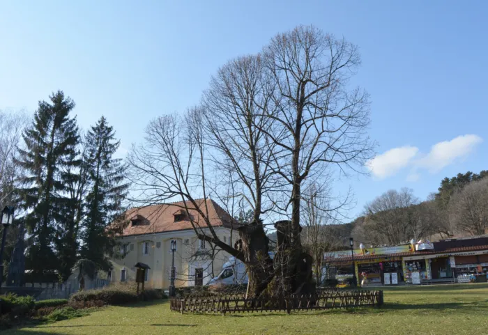 Master file0000077201