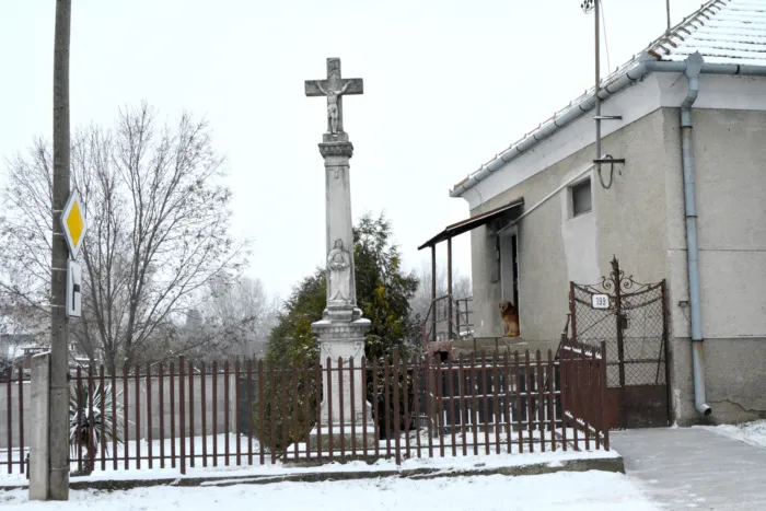 Master file0000071838