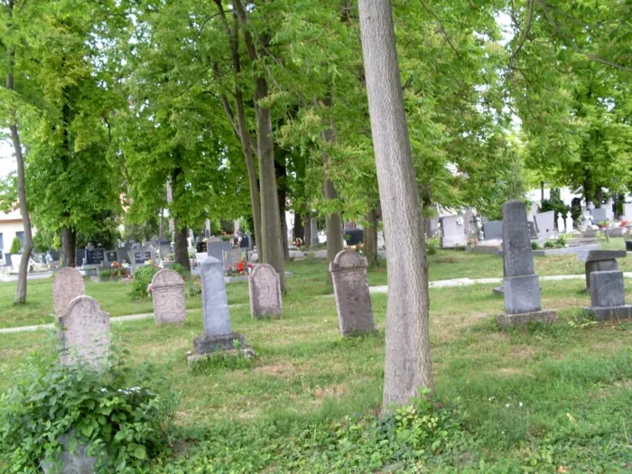 Master file0000039361