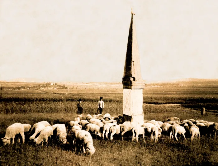 Master file0000064409