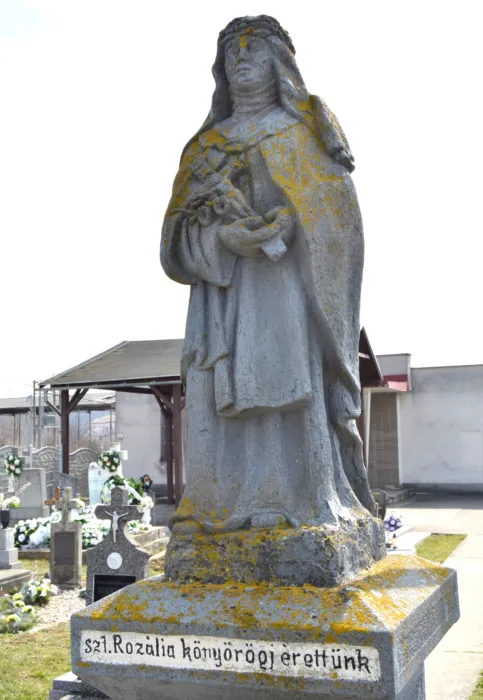 Master file0000074410