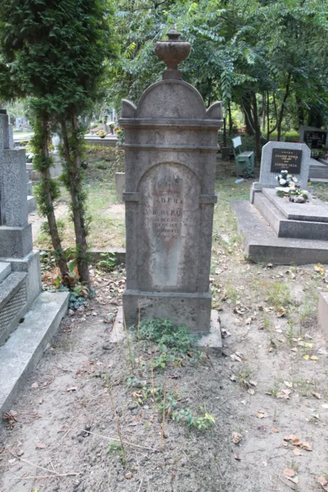 Master file0000063767