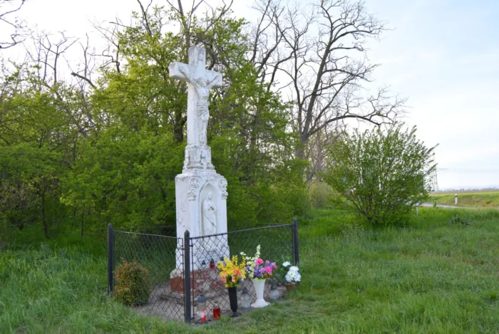 Master file0000064648