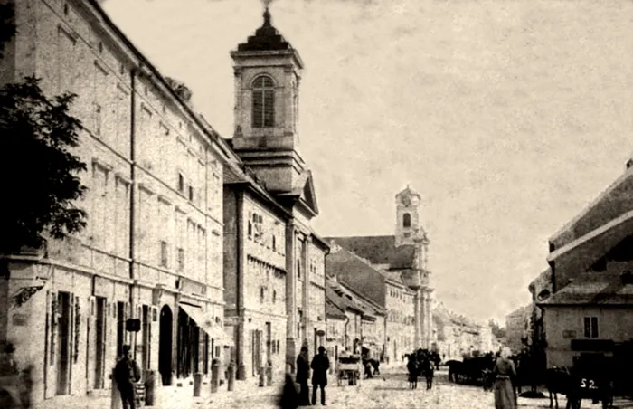 Master file0000066856