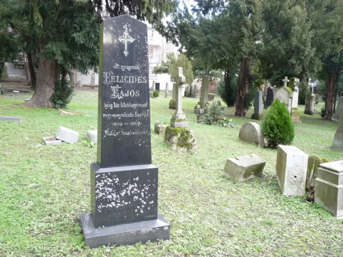 Master file0000076965