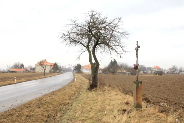 Master file0000078582