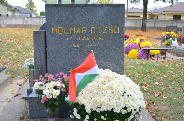 Master file0000078132