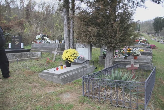 Master file0000075715