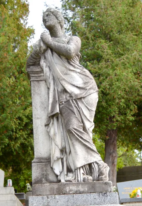 Master file0000076600