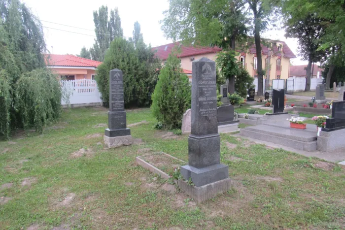 Master file0000070907