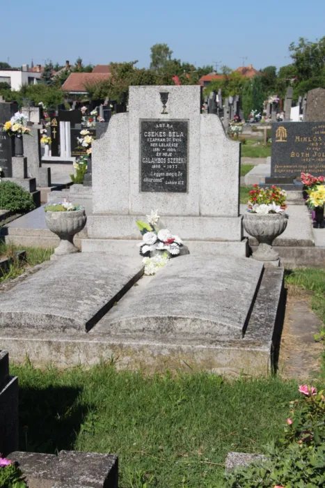 Master file0000077208