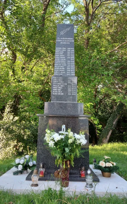 Master file0000076607