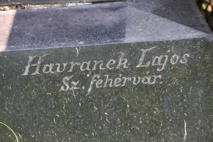 Master file0000072989