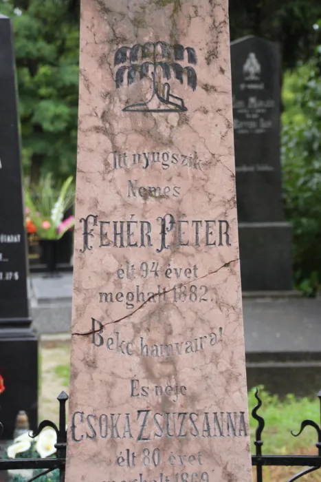 Master file0000075521