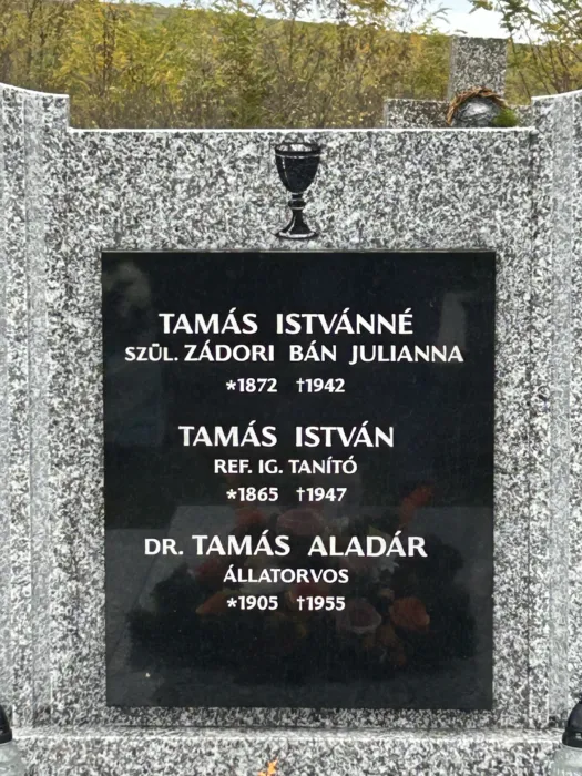 Master file0000081067