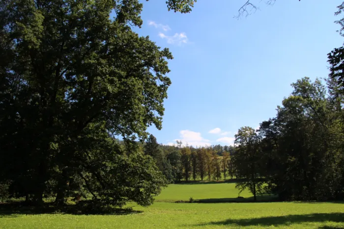 Master file0000062656