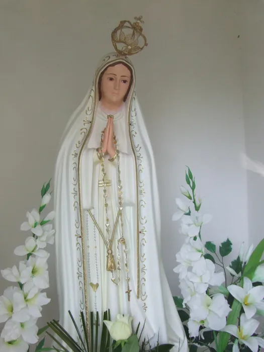 Master file0000076277