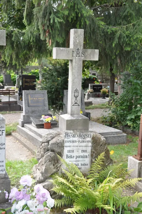 Master file0000077390