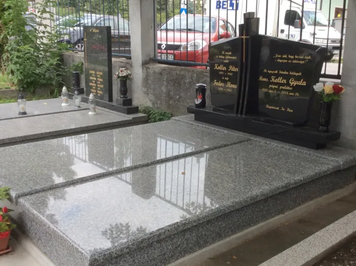 Master file0000075866