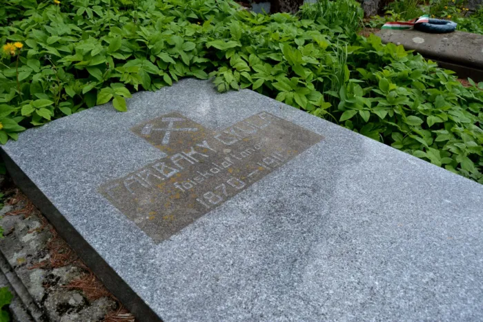 Master file0000074254