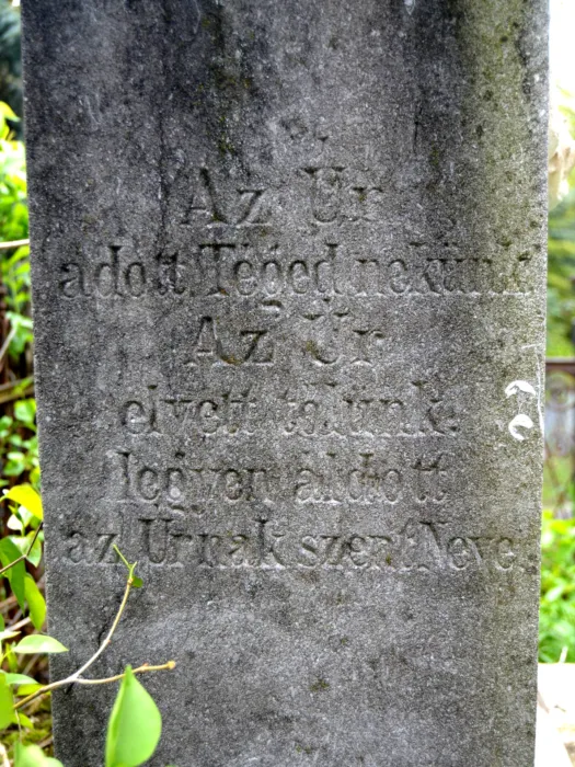 Master file0000072126