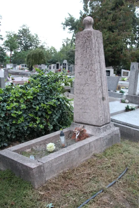 Master file0000071117