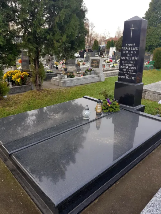 Master file0000077265