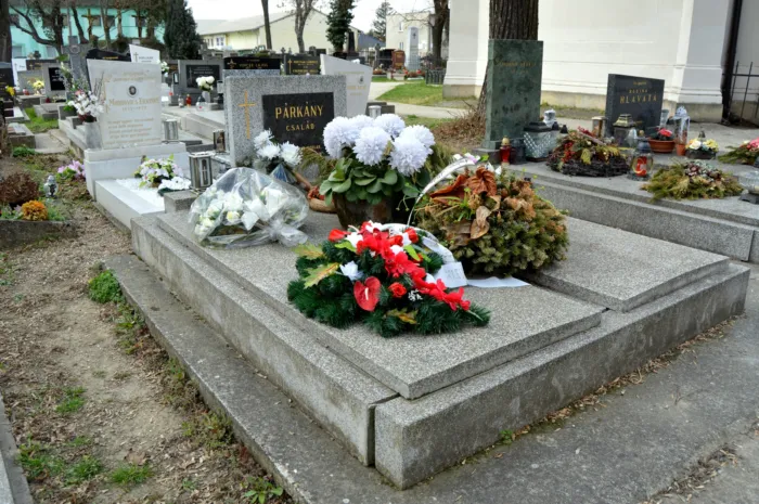 Master file0000059885