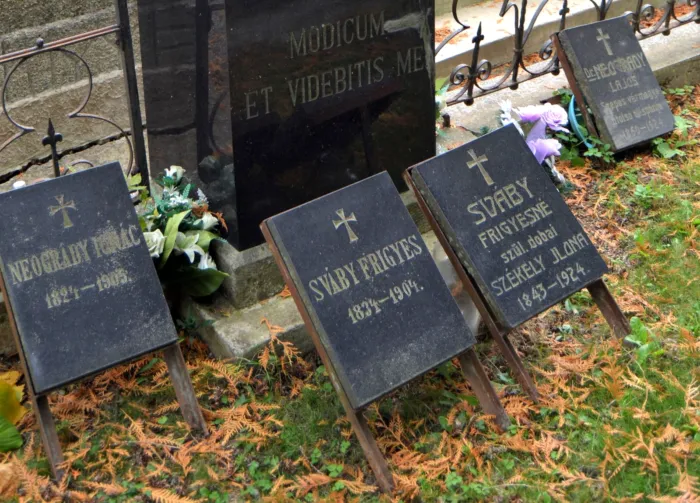 Master file0000080147