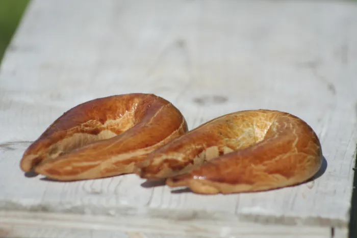 Master file0000081071