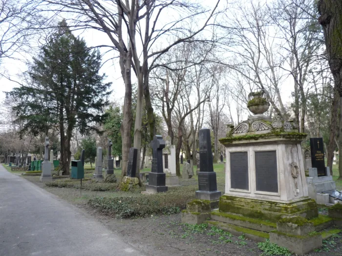 Master file0000076850