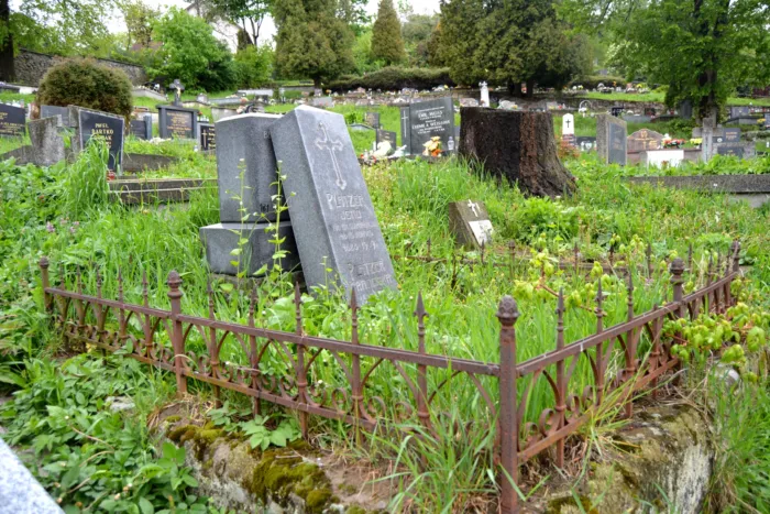 Master file0000074195