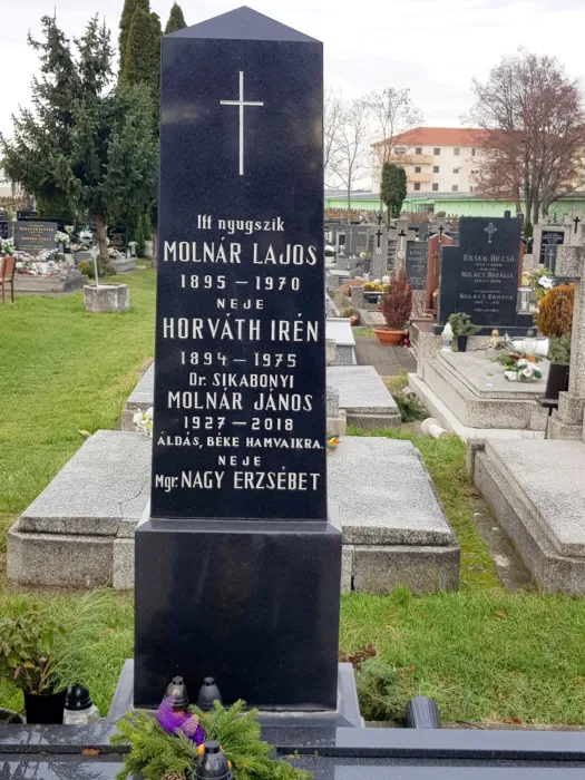 Master file0000070102